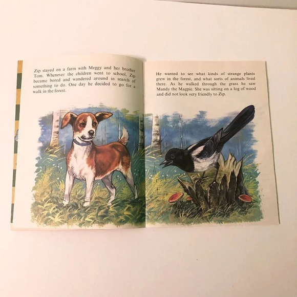 Vtg Zip and the Hedgehog Infant Series Book Robert Dallet Corlia - Picture 6 of 15